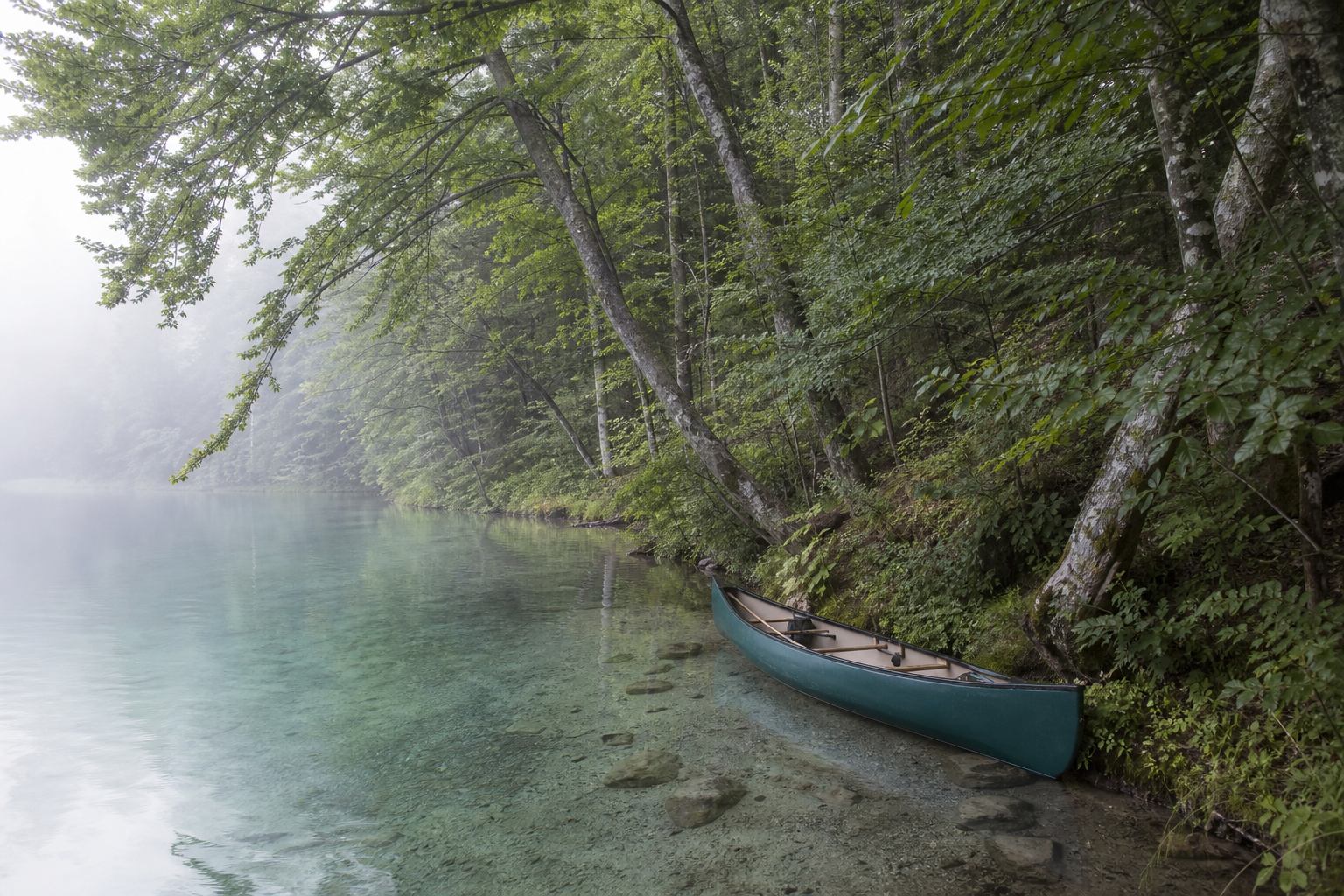 Kanu an einer bewaldeten Bucht in der Feldberger Seenlandschaft